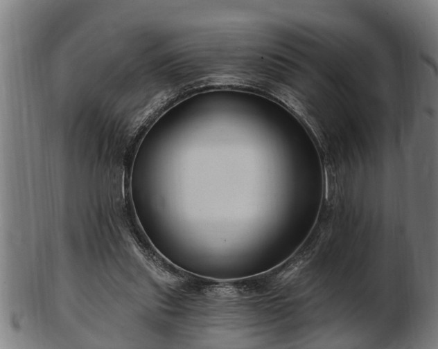 X0000103320253200809121154