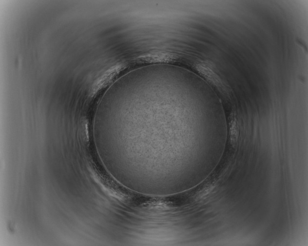 X0000103320254200809121154