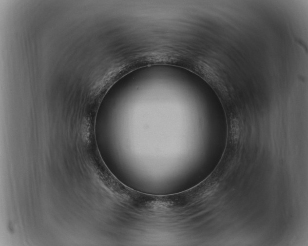 X0000103320255200809121154