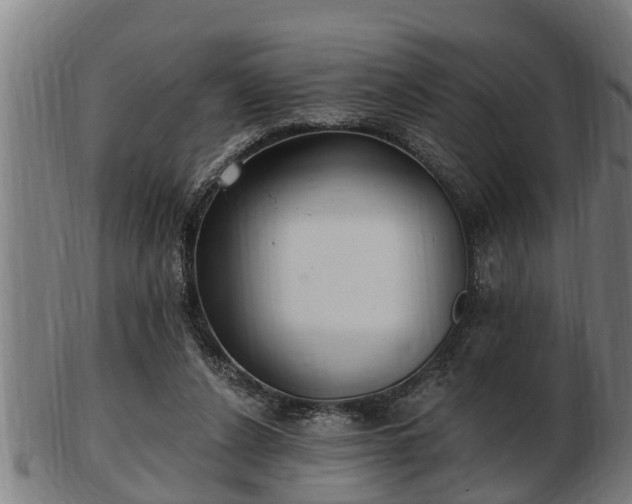 X0000103320256200809121155