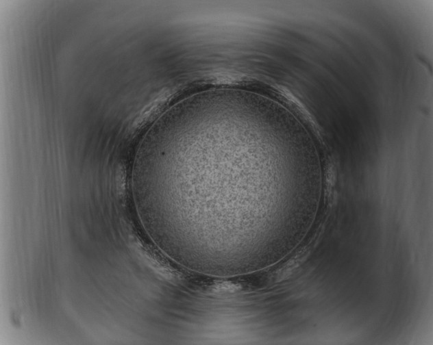 X0000103320257200809121155