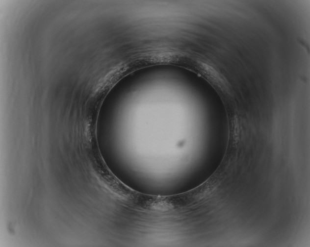 X0000103320258200809121155