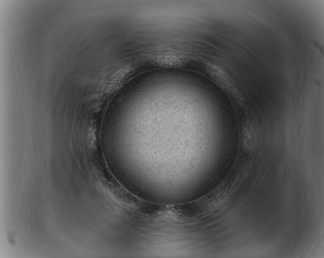 X0000103320259200809121155