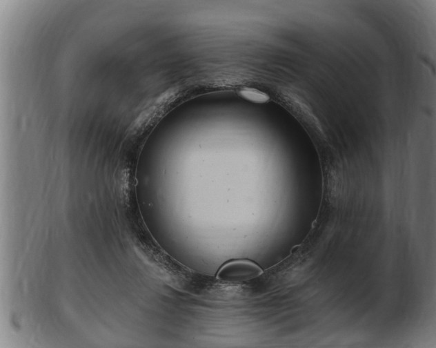 X0000103320260200809121155