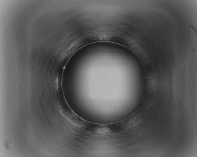 X0000103320262200809121155