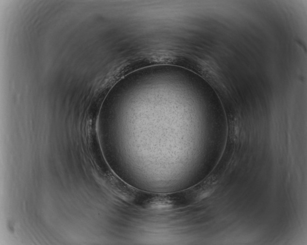 X0000103320263200809121155