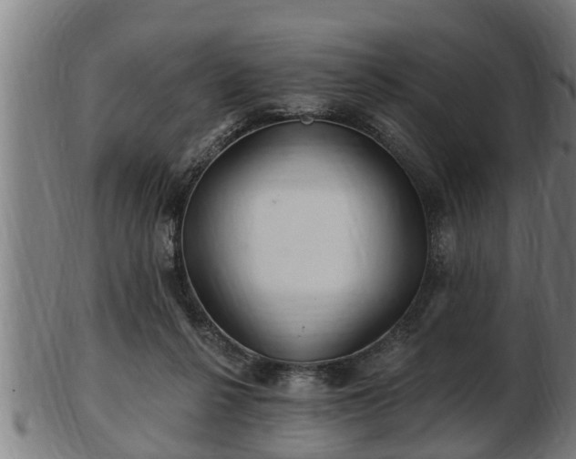 X0000103320264200809121155