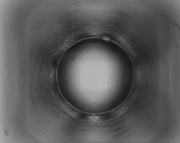 X0000103320265200809121155