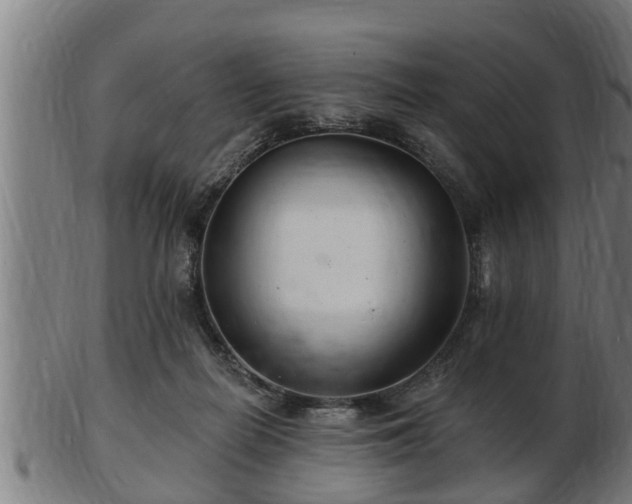 X0000103320266200809121155