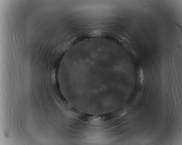 X0000103320267200809121155