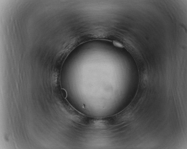 X0000103320268200809121155