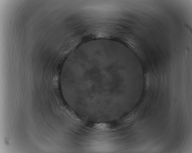 X0000103320269200809121155