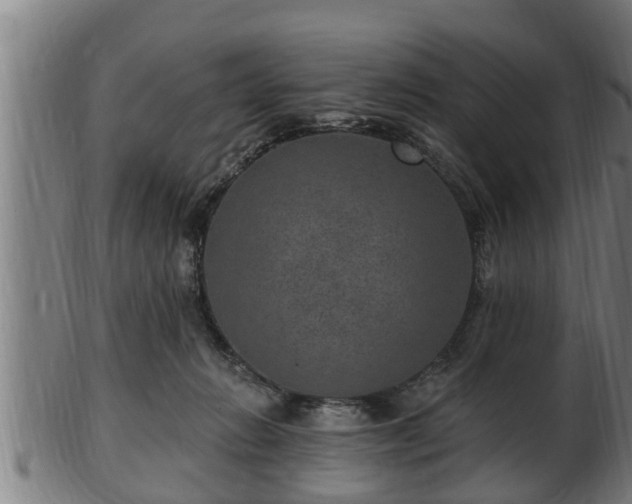 X0000103320270200809121155