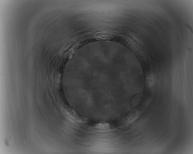 X0000103320271200809121155