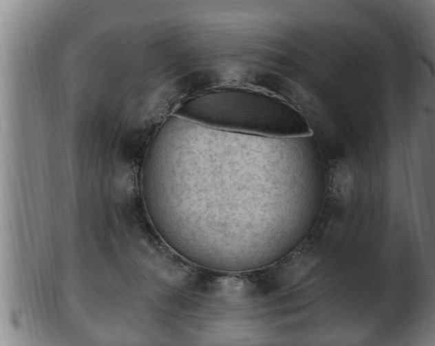 X0000103320272200809121155