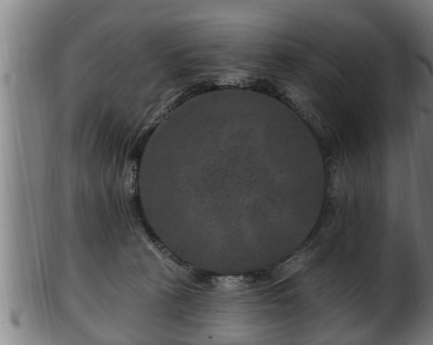 X0000103320273200809121155