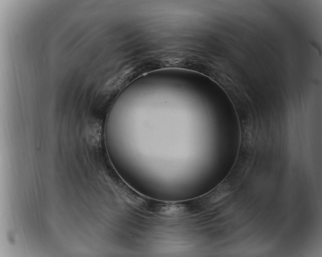 X0000103320274200809121155