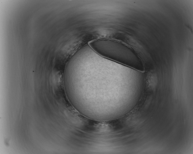 X0000103320276200809121155