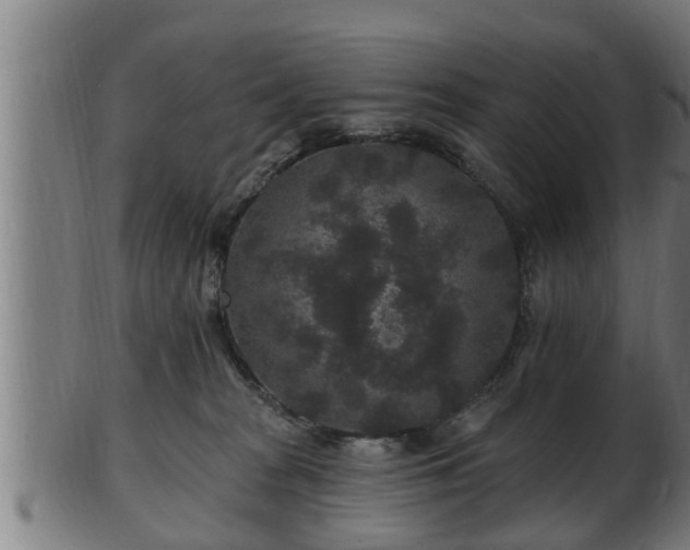 X0000103320277200809121155