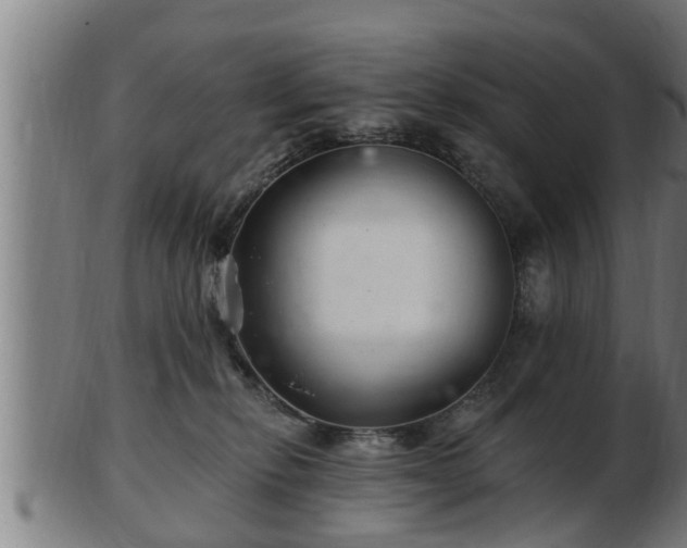 X0000103320278200809121155