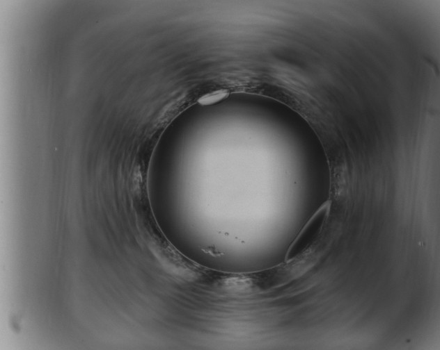 X0000103320279200809121155