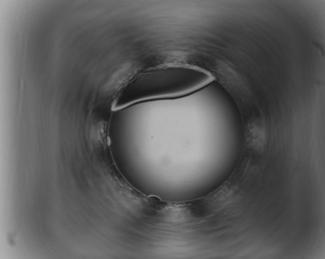 X0000103320280200809121155