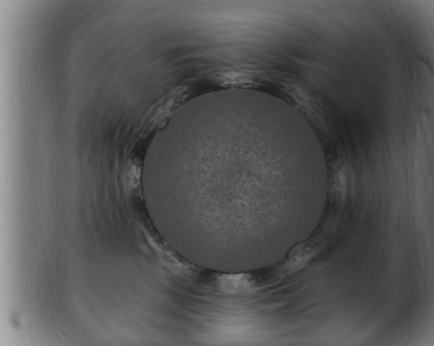 X0000103320281200809121155