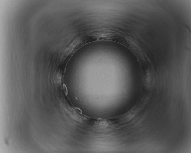 X0000103320282200809121155