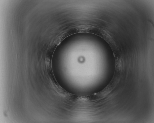 X0000103320283200809121155