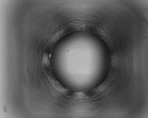 X0000103320287200809121155