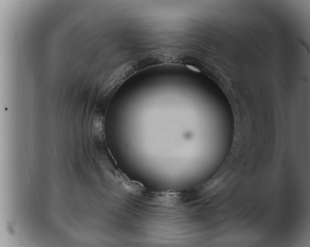 X0000103320288200809121155