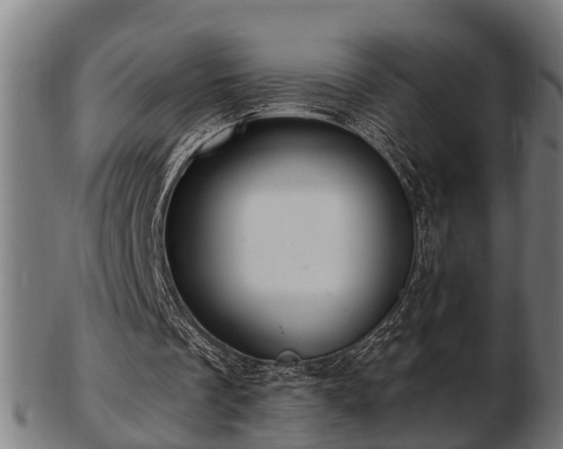 X0000103320289200809121154