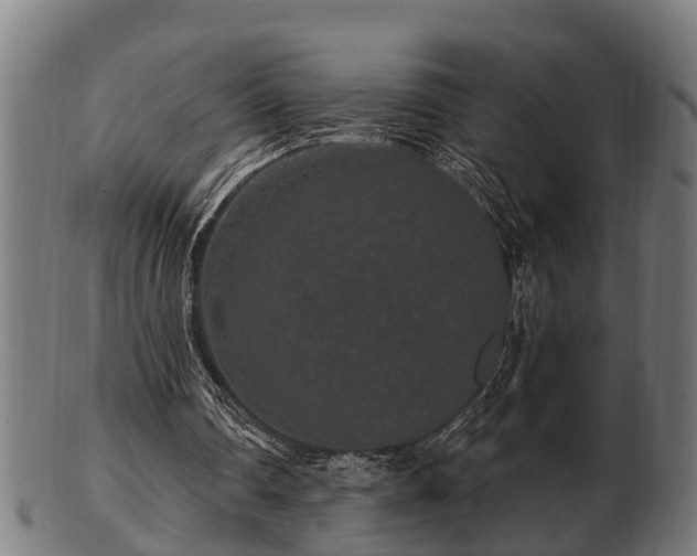 X0000103320290200809121154