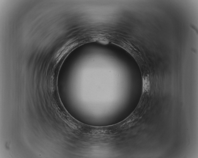 X0000103320291200809121154