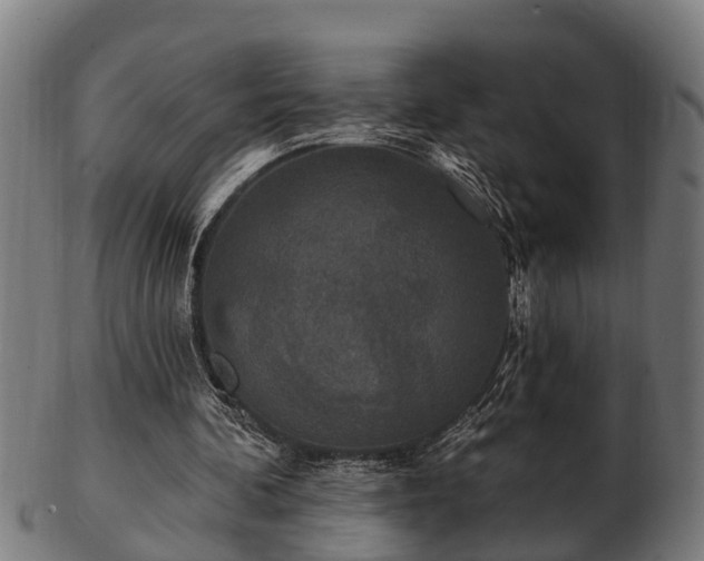 X0000103320292200809121154