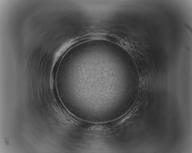 X0000103320294200809121154