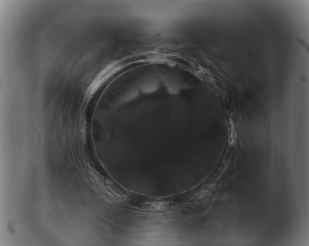 X0000103320295200809121154