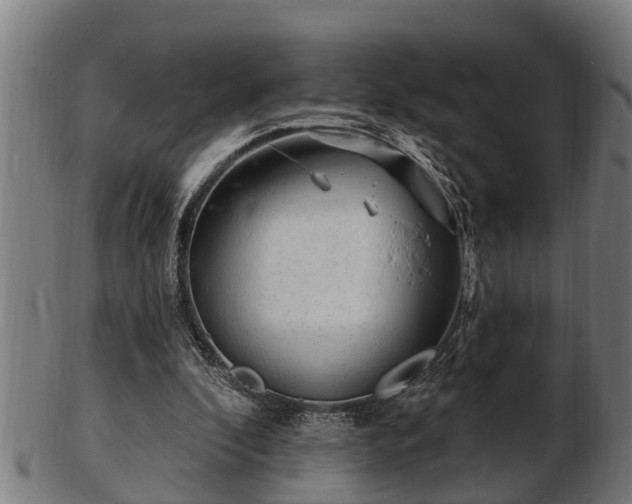 X0000103320296200809121154