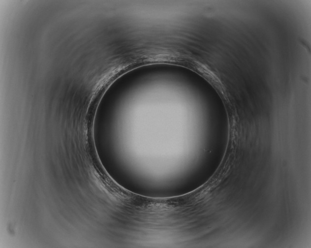 X0000103320298200809121154