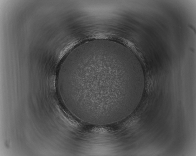 X0000103320299200809121154