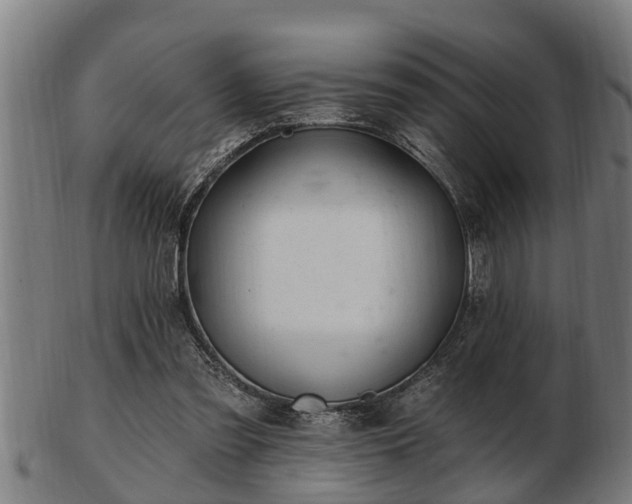 X0000103320301200809121154