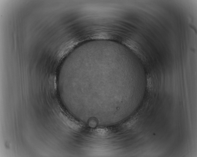 X0000103320302200809121154