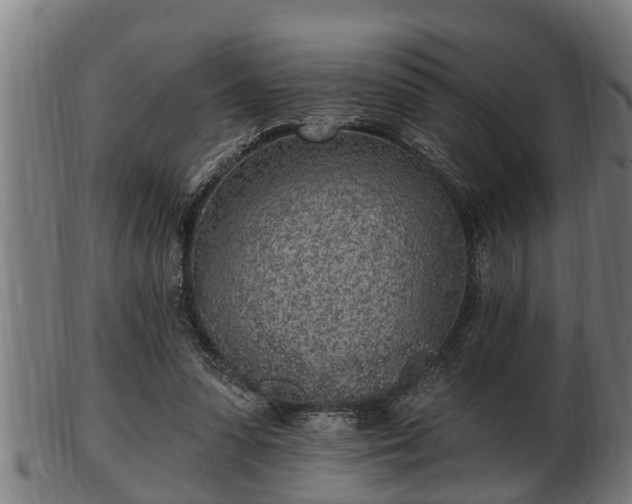 X0000103320303200809121154