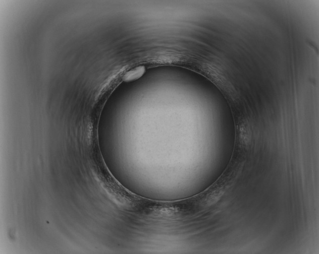 X0000103320304200809121154