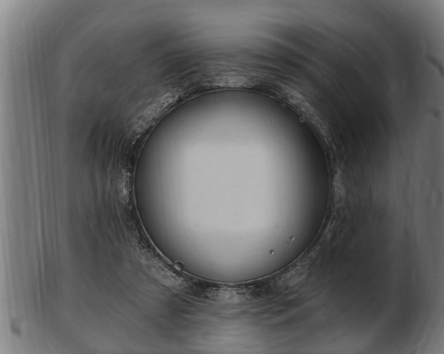 X0000103320305200809121154