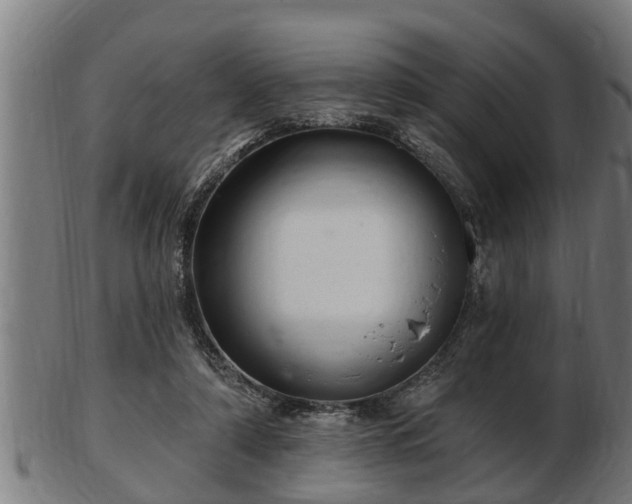 X0000103320306200809121154