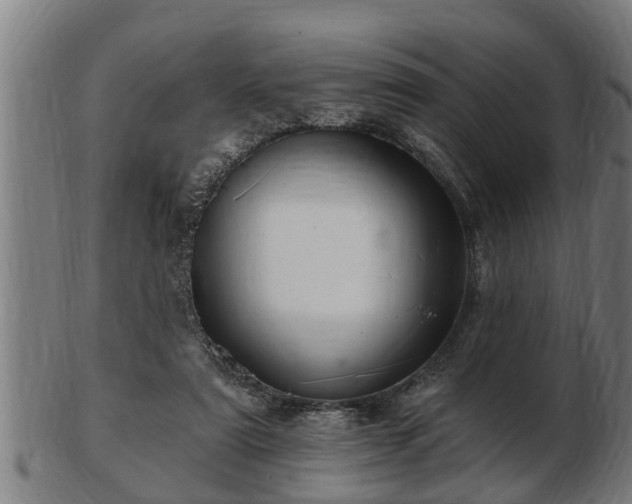 X0000103320307200809121154