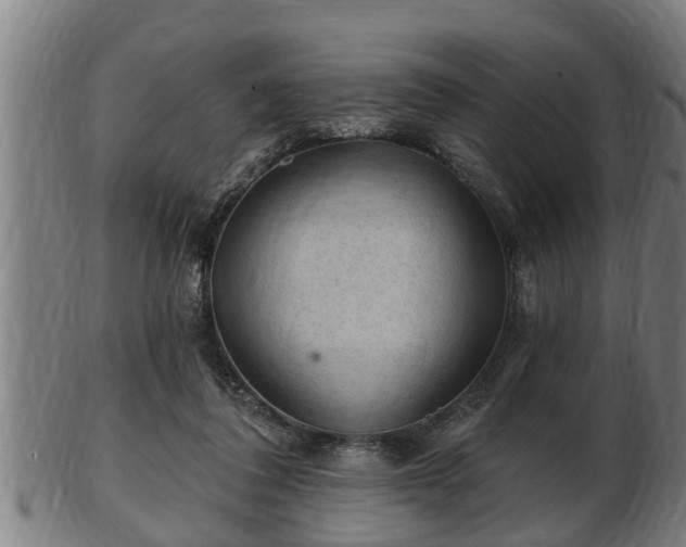 X0000103320308200809121154