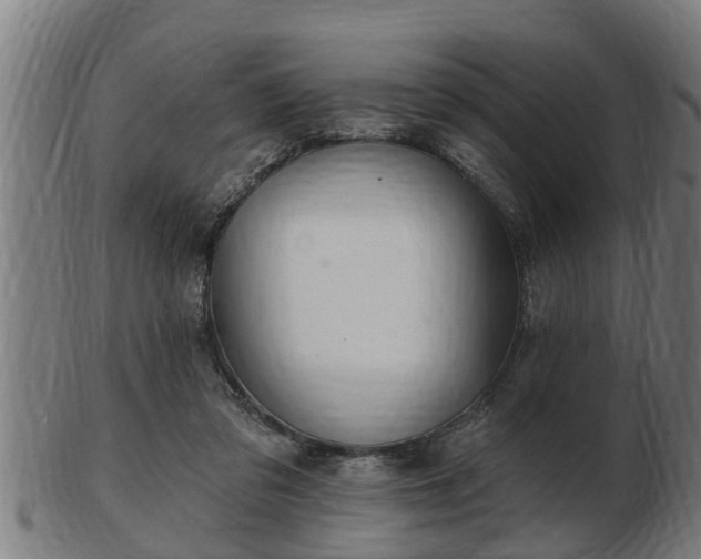 X0000103320309200809121154