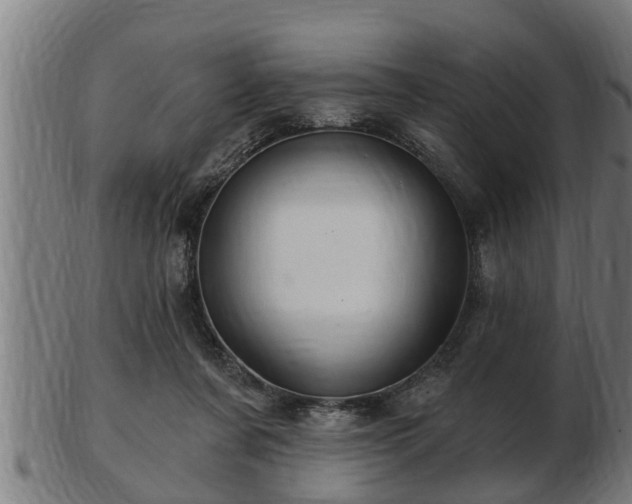 X0000103320311200809121154